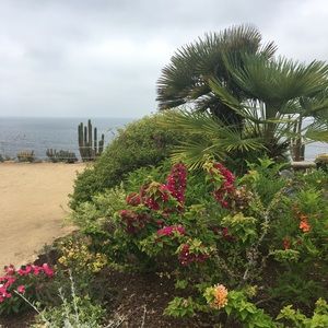 Meet your Posher, Teja